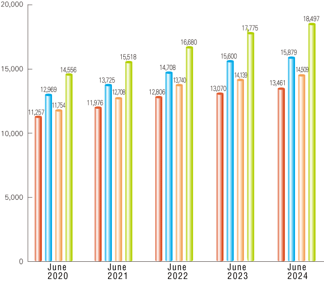 Net Assets / Total Assets