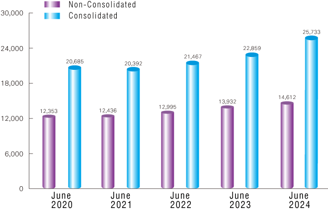 Net Sales